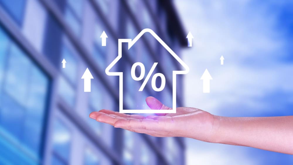 Cover image of Discover Personal Loan Terms and Features